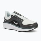 Vyriški bėgimo batai Nike Winflo 11 GORE-TEX anthracite/black/photon dust/metallic silver