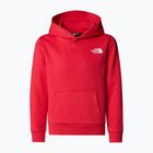Vaikiškas džemperis The North Face Teen Simple Dome Hoodie hibiscus