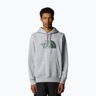 Vyriškas džemperis The North Face Drew Peak Pullover Hoodie tnf light grey