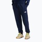 Vyriškos žygių kelnės The North Face Simple Dome Light Regular Tapered Jogger summit navy