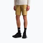 Vyriški žygių šortai The North Face Lightning SHT khaki stone/npf