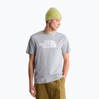 Vyriški marškinėliai The North Face Evolution Half Dome tnf pale grey heather