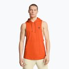 Vyriški treniruočių marškinėliai Under Armour Project Rock Payoff SL HD orange