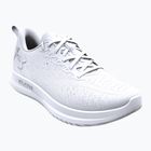 Vyriški bėgimo bateliai Under Armour Velociti 4 white/white/white