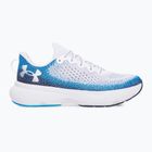 Vyriški bėgimo batai Under Armour Infinite white/electric blue/white