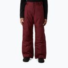Vaikiškos slidinėjimo kelnės The North Face Freedom Insulated sumac