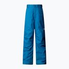 Vaikiškos slidinėjimo kelnės The North Face Freedom Insulated dusk blue