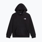 Vaikiškas džemperis The North Face Evolution Simple Dome Pullover Hood tnf black