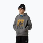 Vaikiškas džemperis The North Face Sports Oversized Hoodie Graphic smoked pearl