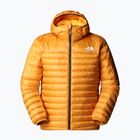 Vyriška striukė The North Face Terra Peak Hoodie citrine yellow