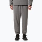 Vyriškos kelnės The North Face Glacier Fleece mid grey heather