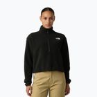Moteriškas džemperis The North Face Glacier Fleece 1/2 Zip Short black