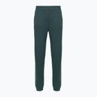Moteriškos kelnės The North Face Mountain Athletics Fleece deep cypress/space