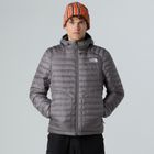 Vyriška pūkinė striukė The North Face Huila Synthetic Hoodie smoked pearl