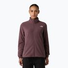 Moteriškas fliso džemperis The North Face Glacier Fleece tawny quartz