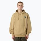 Vyriškas džemperis The North Face Mountain Logo Relaxed Hooded khaki stone