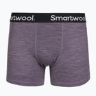 Vyriškos termoaktyvios trumpikės Smartwool Merino Boxer Brief Boxed purple storm heather