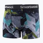 Vyriškos termoaktyvios trumpikės Smartwool Merino Print Boxer Brief Boxed blue sum sector