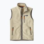 Vyriškas liemenė Patagonia Retro Pile Fleece pelican
