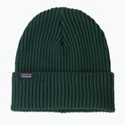 Žieminė kepurė Patagonia Fishermans Rolled Beanie cascade green