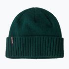 Žieminė kepurė Patagonia Brodeo Beanie cascade green