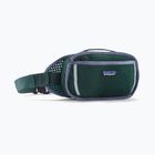 Krepšys ant juosmens Patagonia Fieldsmith Hip Pack 5 l cascade green