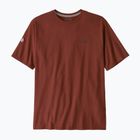 Vyriški marškinėliai Patagonia Fitz Roy Icon Responsibili-Tee dried vanilla