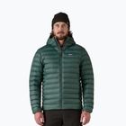 Vyriška pūsta striukė Patagonia Down Sweater Hoody cascade green