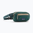 Krepšys ant juosmens Patagonia Terravia Mini Hip cascade green