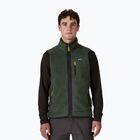 Vyriška liemenė Patagonia Retro Pile Fleece old growth green
