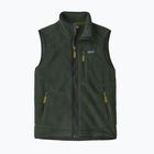 Vyriška liemenė Patagonia Retro Pile Fleece old growth green