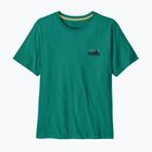 Vyriški marškinėliai Patagonia '73 Skyline gem green