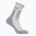 Vyriškos Icebreaker Merino Hike+ Medium Crew kojinės blizzard heather/alloy