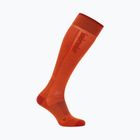 Vyriškos slidinėjimo kojinės icebreaker Merino Ski+ Ultralight OTC fervid/agate