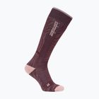 Moteriškos slidinėjimo kojinės icebreaker Merino Ski+ Medium OTC Mountain Contour java/blush/summit