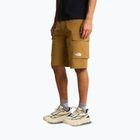 Vyriški žygių šortai The North Face Exploration Cargo Shorts utility brown