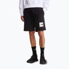 Vyriški žygių šortai The North Face Box Nse Light Regular Shorts black