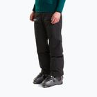 Vyriškos slidinėjimo kelnės The North Face Chakal tnf black