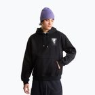 Vyriškas džemperis The North Face Apex '75 Collage Relaxed Hoodie tnf black
