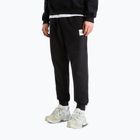 Vyriškos kelnės The North Face Evo Box Half Dome Regular Tappered tnf black