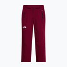 Moteriškos slidinėjimo kelnės The North Face Lenado burgundy crush
