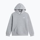 Vaikiškas džemperis The North Face Evolution Simple Dome Pullover Hood tnf pale grey heather