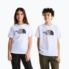 Vaikiški marškinėliai The North Face Evolution Half Dome SS Tee tnf white