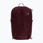 Turistinė kuprinė The North Face Borealis Trail 27 l deep burgundy