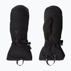 Slidinėjimo pirštinės The North Face Montana Mitt tnf black