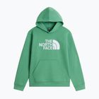 Vaikiškas džemperis The Noryh Face Essential Drew Peak Hoodie dimmed algae