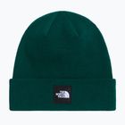 Žieminė kepurė The North Face Dock Worker Recycled Beanie hunter green
