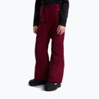 Vaikiškos slidinėjimo kelnės The North Face Freedom Insulated burgundy crush