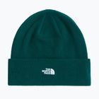 Žieminė kepurė The North Face Norm Beanie hunter green