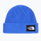 Žieminė kepurė The North Face Salty Lined active blue